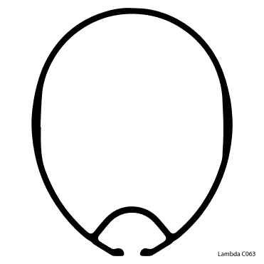 2.4mR Mast Lambda 2010