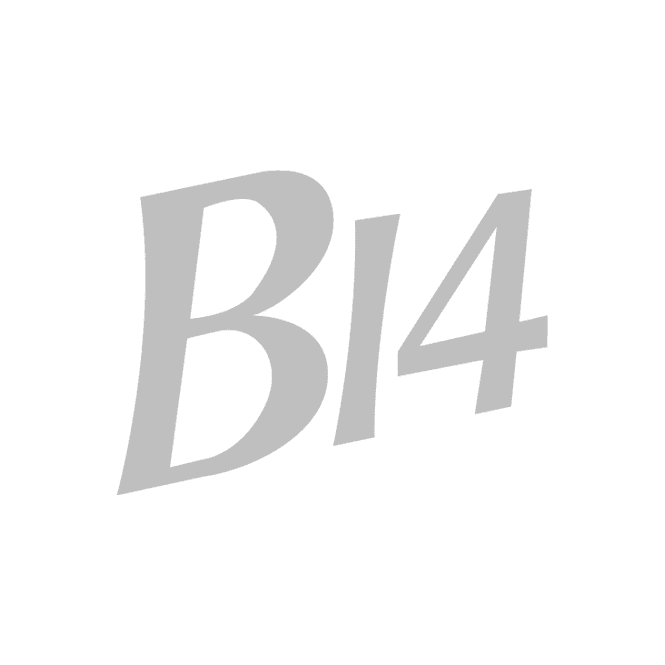 B14 Class Insignia
