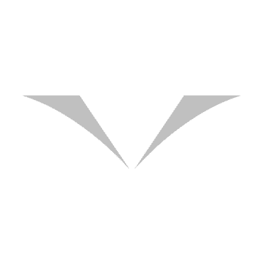 Gull Class Insignia