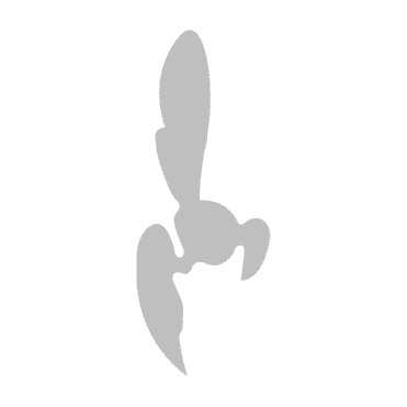 Hornet Class Insignia