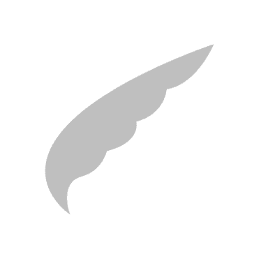 Kestrel Class Insignia