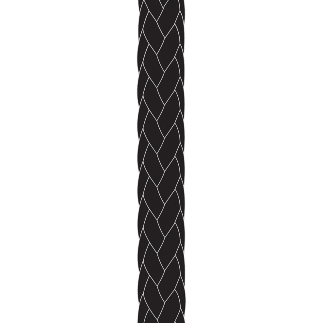 Kingfisher Rig12