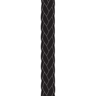Kingfisher Rig12