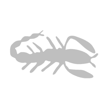 Scorpion Class Insignia