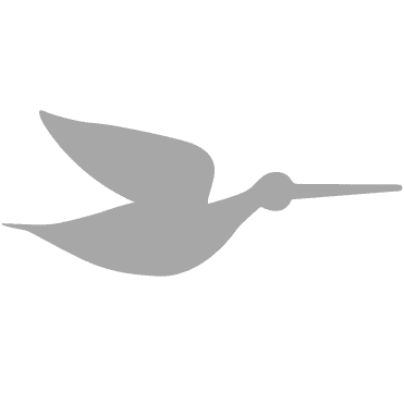 Snipe Class Insignia
