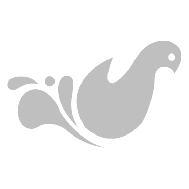 Splash Class Insignia