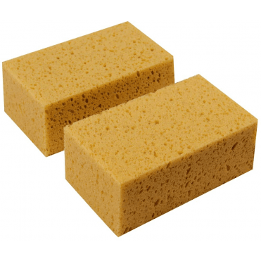 Sponge