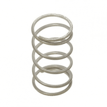 Stainless Steel Spring 20mm