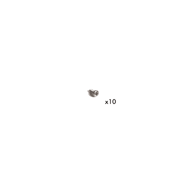 Transom Plate Screws